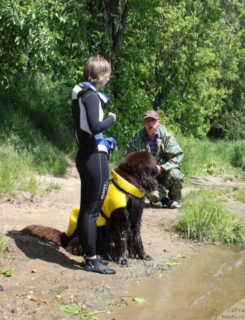 Фотография № 97452