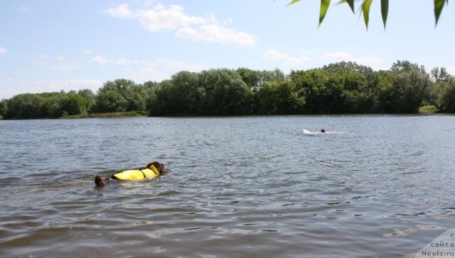 Фотография № 97454