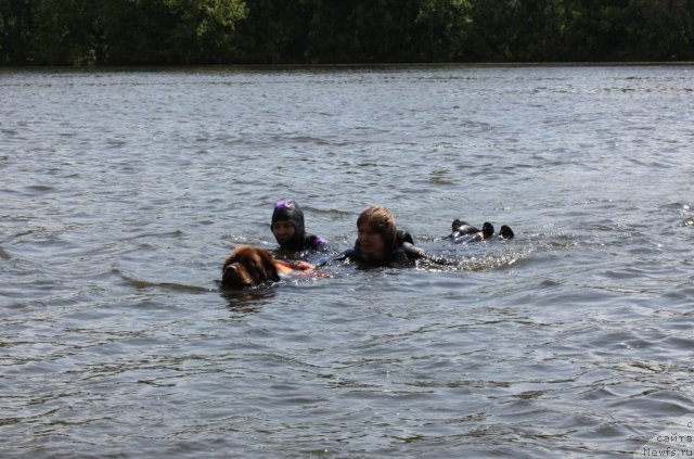 Фотография № 97459