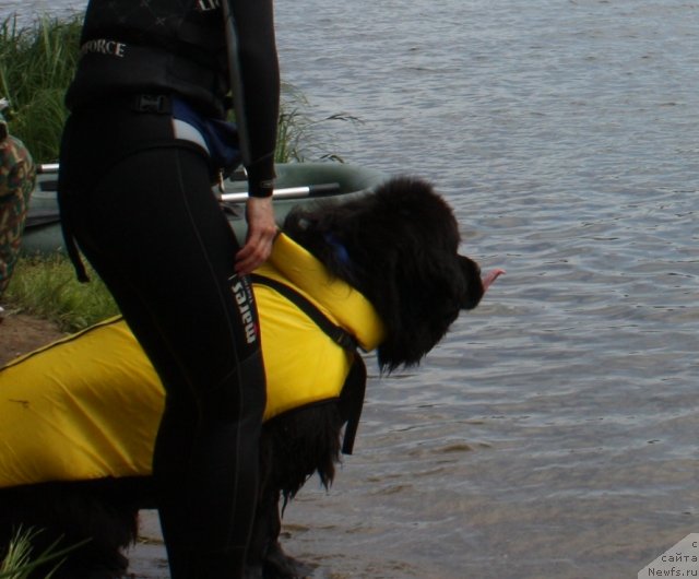 Фотография № 97462