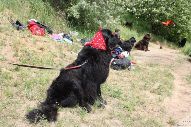 Фотография № 97463