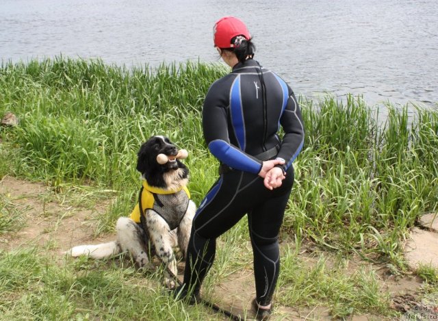 Фотография № 97464