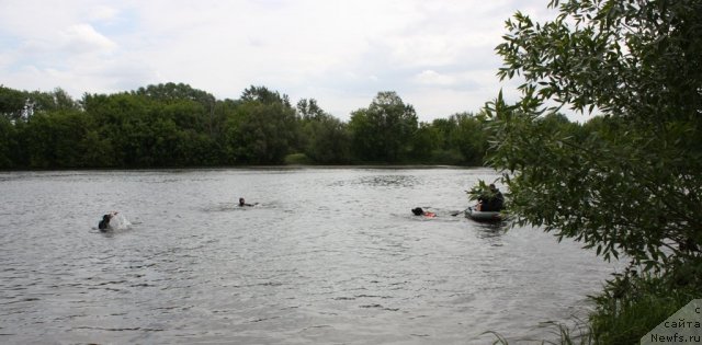 Фотография № 97466