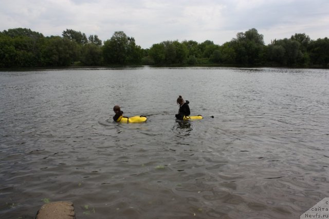 Фотография № 97468