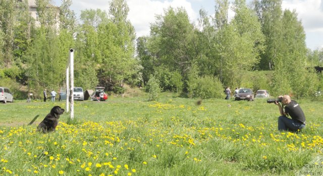 Фотография № 97490