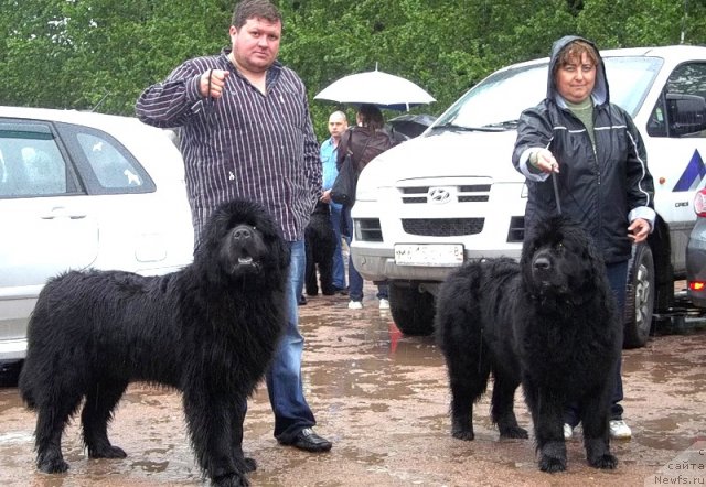 Фотография № 97504