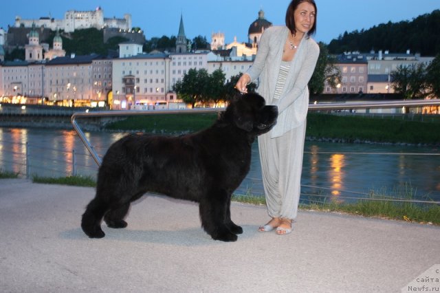 Фотография № 97526