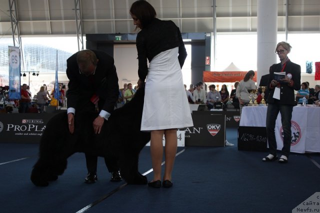 Фотография № 97528