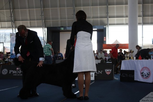 Фотография № 97529