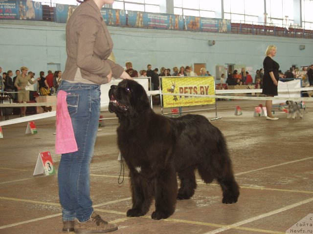 Фотография № 97575