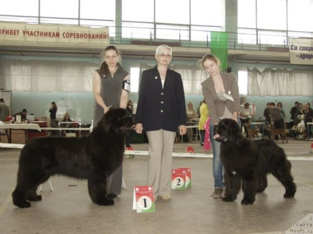 Фотография № 97576