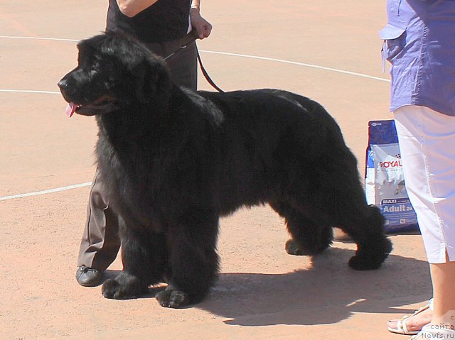 Фотография № 97593