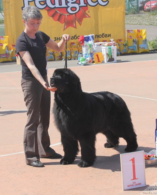 Фотография № 97595