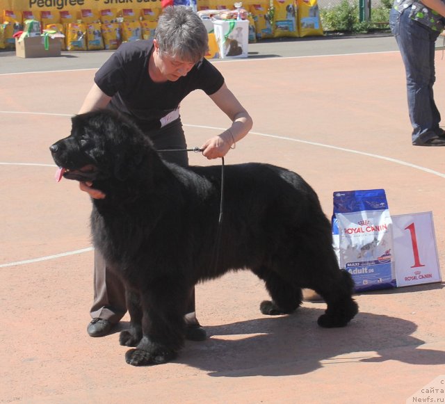 Фотография № 97596