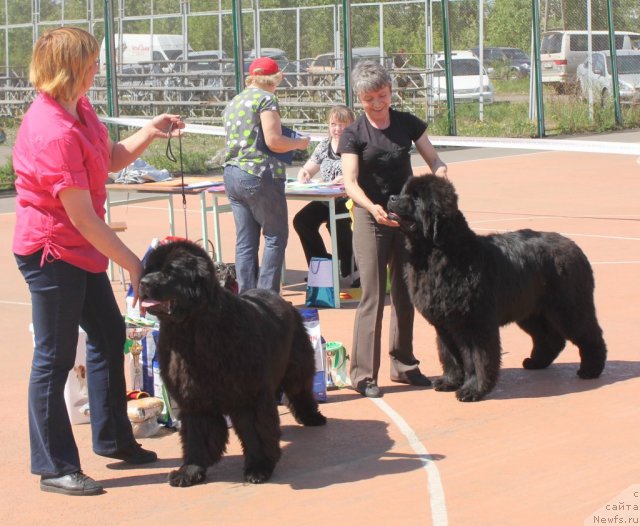 Фотография № 97597