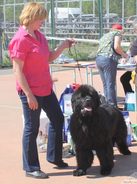 Фотография № 97601