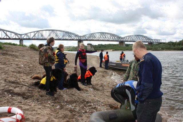 Фотография № 97631