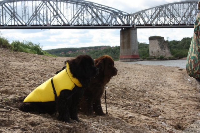 Фотография № 97634