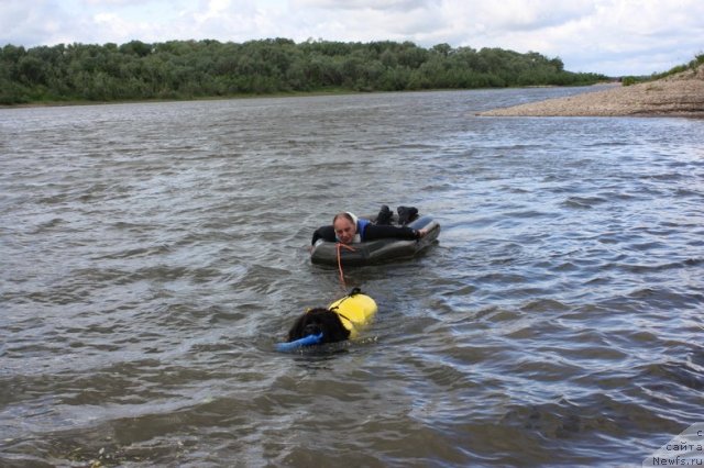 Фотография № 97644