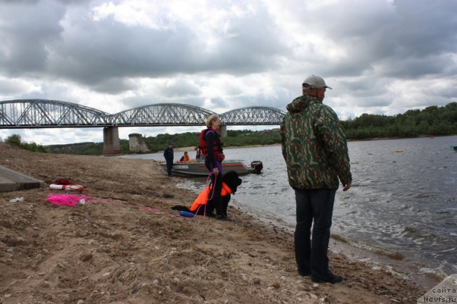 Фотография № 97645