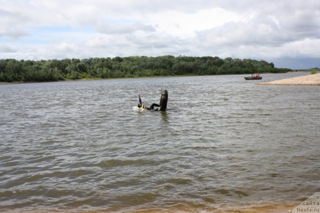 Фотография № 97651