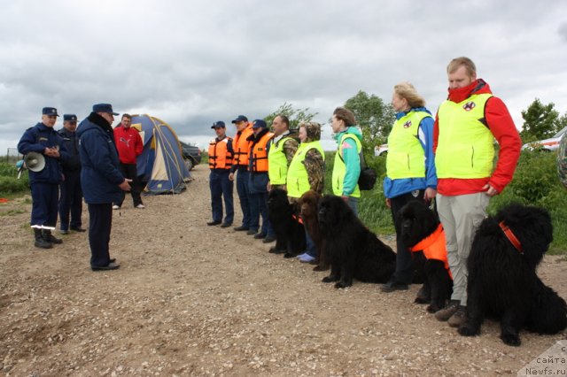 Фотография № 97652