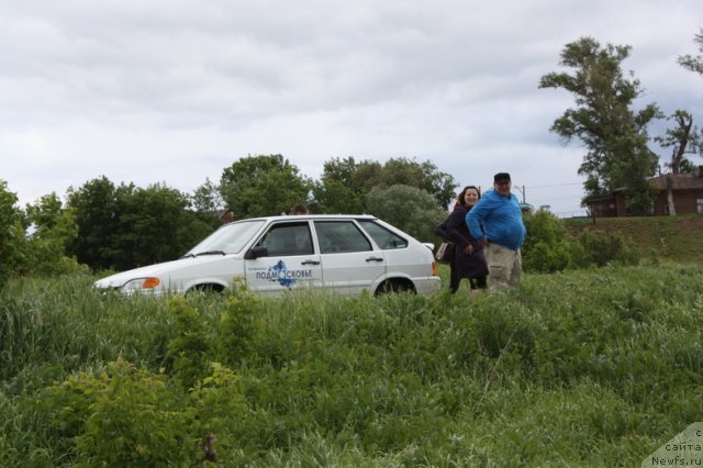 Фотография № 97655