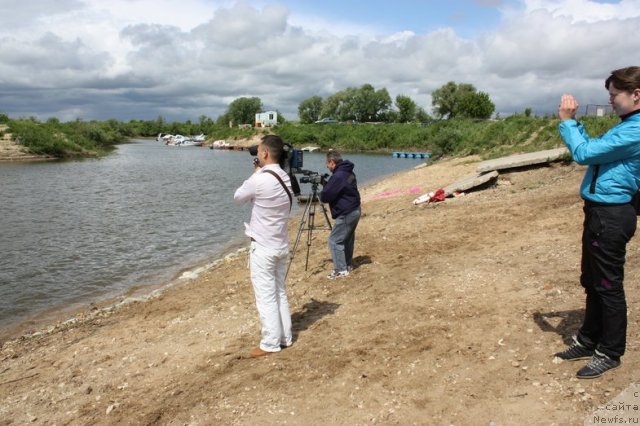 Фотография № 97657