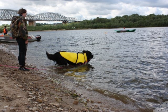 Фотография № 97669