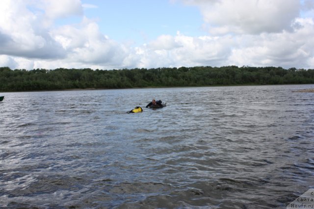 Фотография № 97670