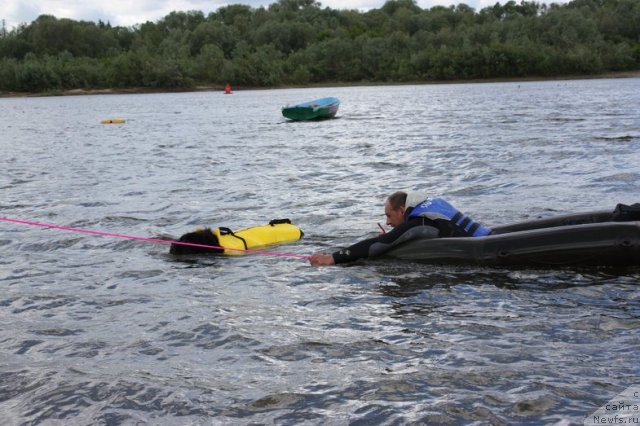 Фотография № 97671