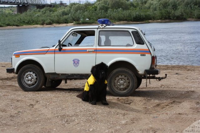 Фотография № 97672