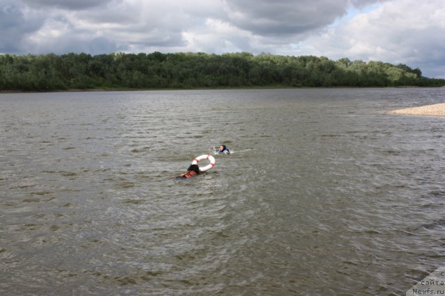 Фотография № 97675