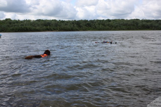 Фотография № 97677