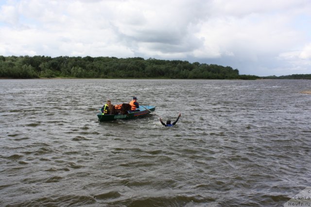 Фотография № 97679