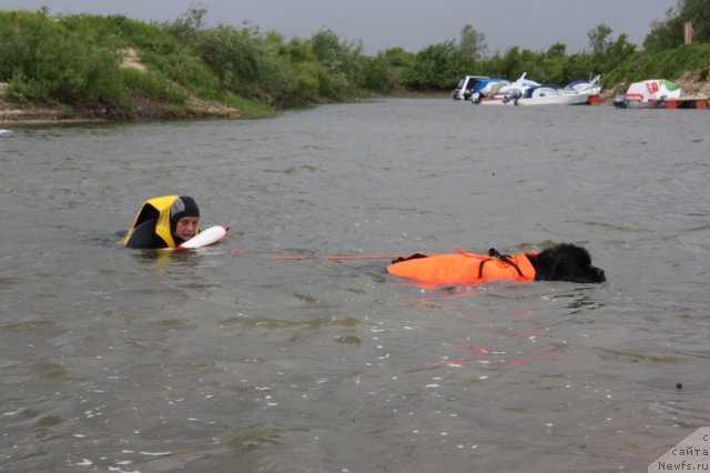 Фотография № 97687