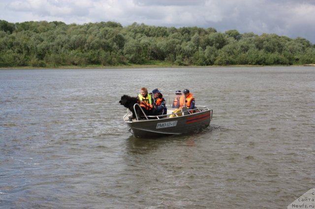 Фотография № 97697