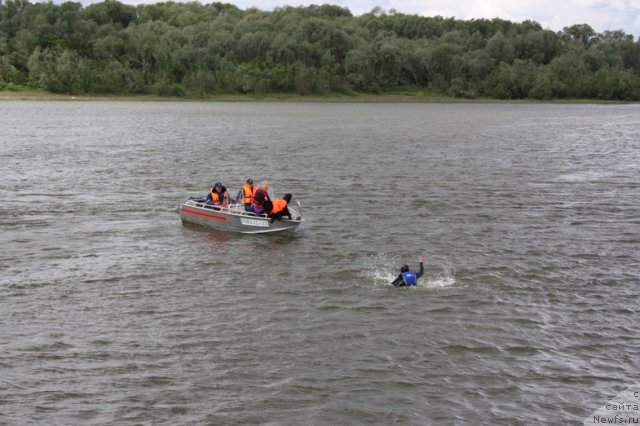 Фотография № 97705