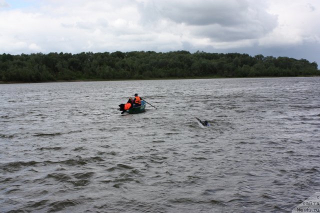 Фотография № 97707