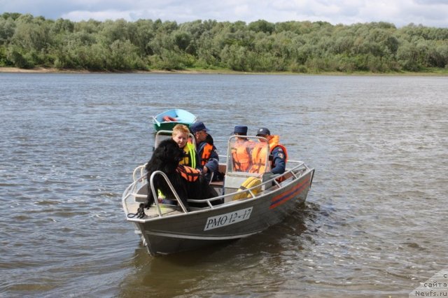 Фотография № 97708