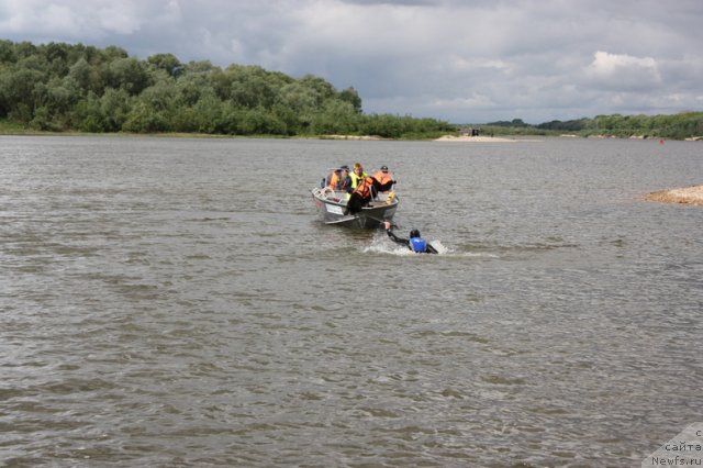 Фотография № 97709