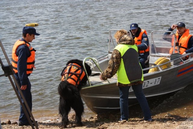 Фотография № 97710