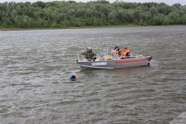 Фотография № 97713