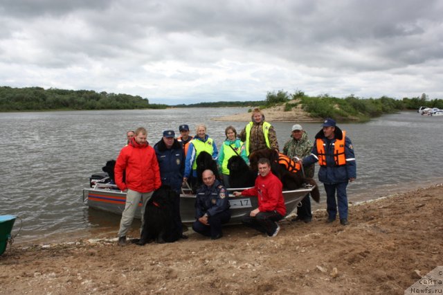 Фотография № 97718