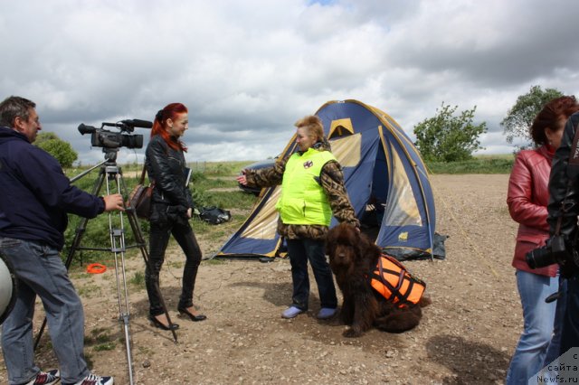 Фотография № 97720