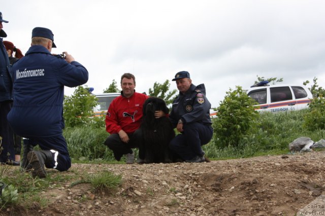 Фотография № 97722