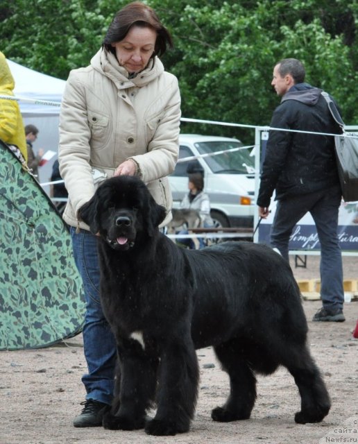 Фотография № 97727