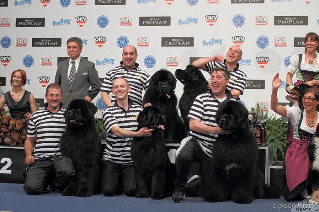 Фотография № 97729