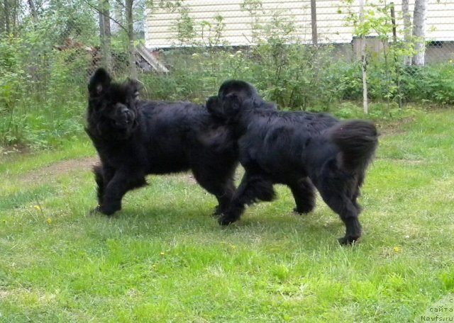 Фотография № 97738