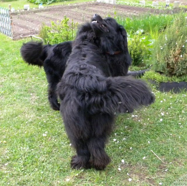 Фотография № 97740